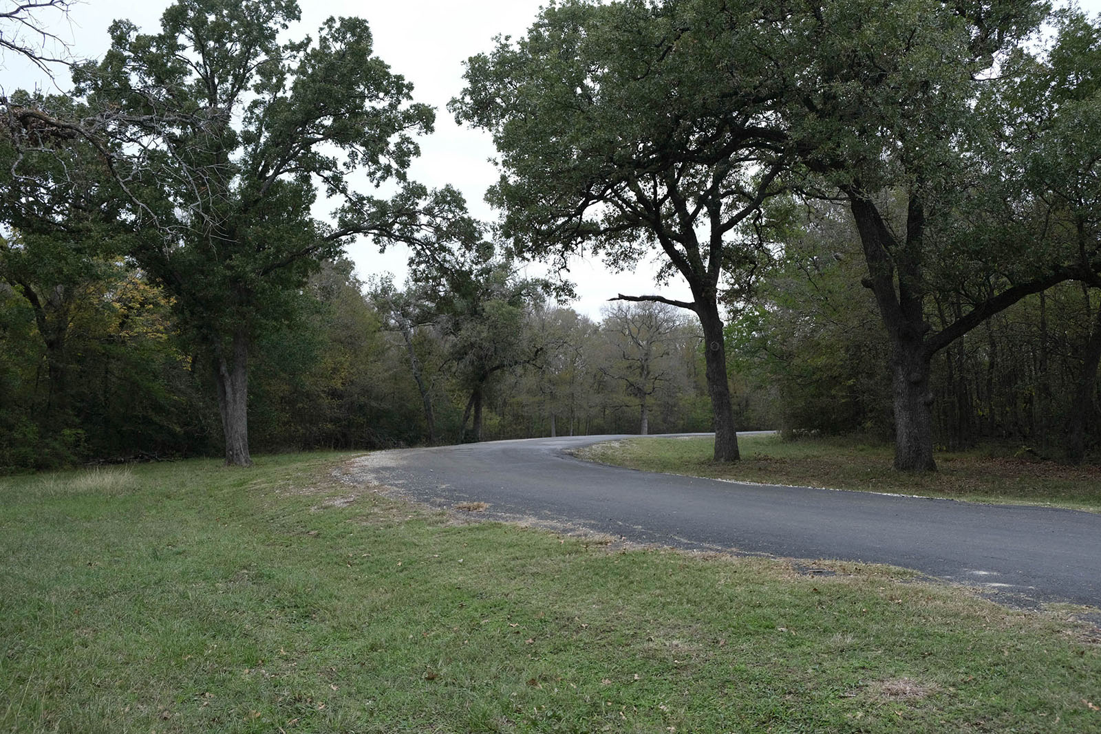 The community road through the 50 acre nature preserve between the front gate and the community.