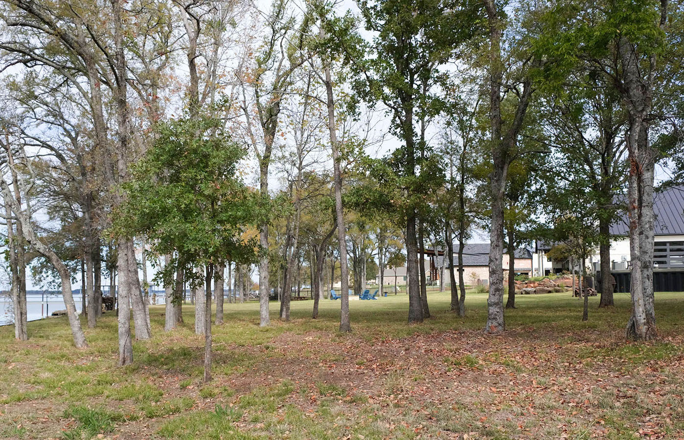 A wooded area with some homes in the background.